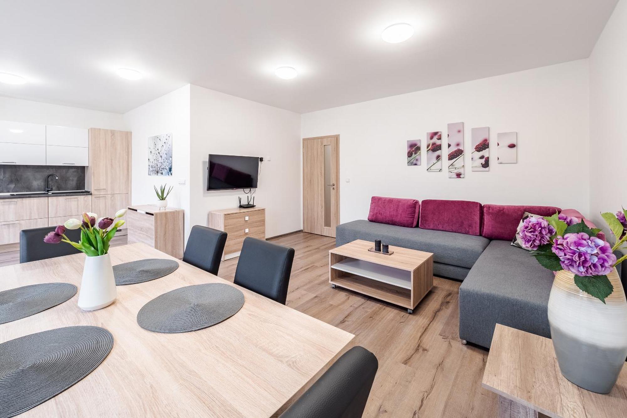 Private Luxury Apartments - Apartman G3 Frymburk Exterior foto